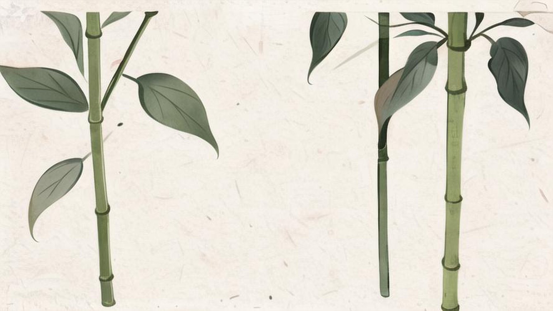 传统文化教育:在新时代绽放光芒